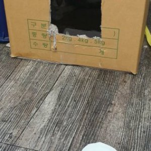 고양이 주인을 찾습니다 기타묘종 서울특별시 광진구