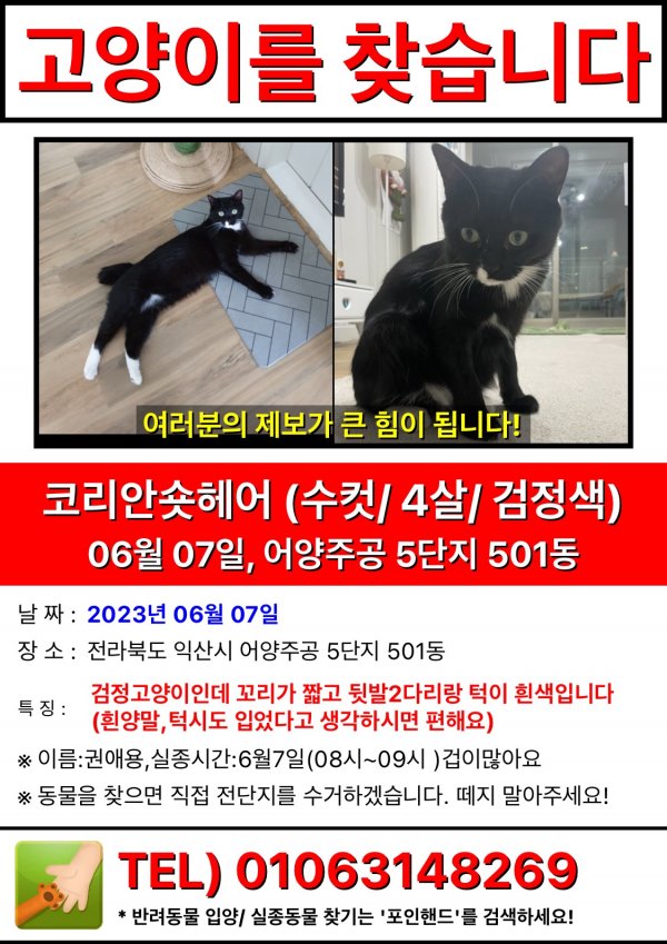 고양이를 찾습니다 고양이실종신고,보호,목격신고 : 동물보호센터