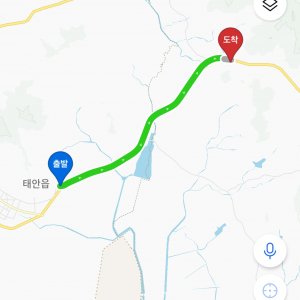 강아지 목격 기타견종 충청남도 서산시