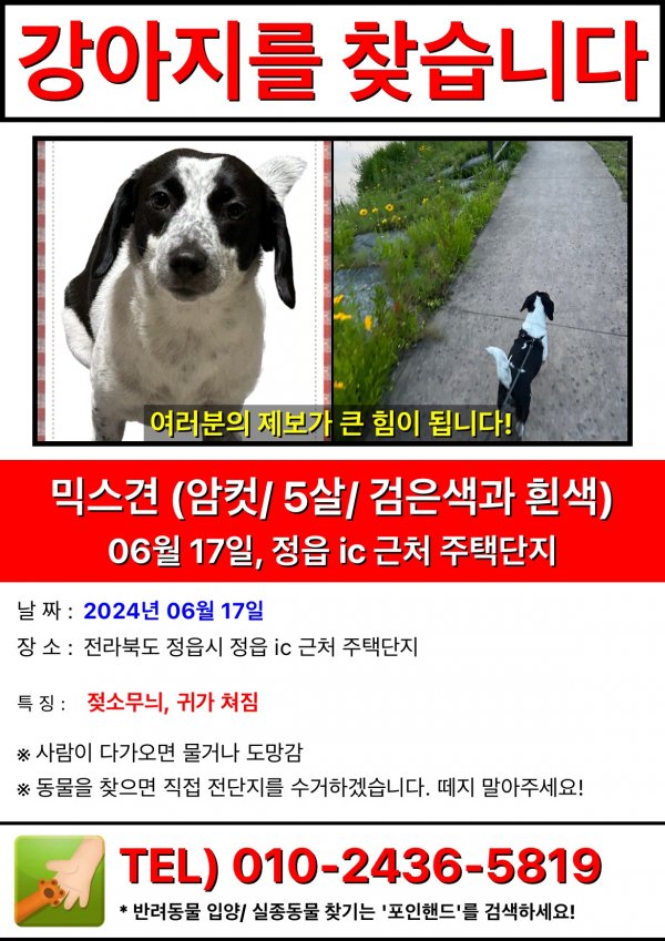 강아지를 찾습니다 강아지실종신고,보호,목격신고 : 동물보호센터