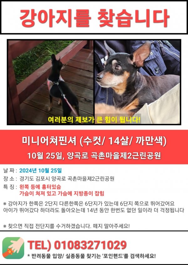 강아지를 찾습니다 강아지실종신고,보호,목격신고 : 동물보호센터