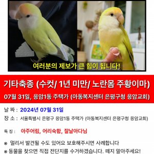 실종동물 조류 서울특별시 은평구