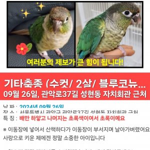 실종동물 조류 서울특별시 관악구