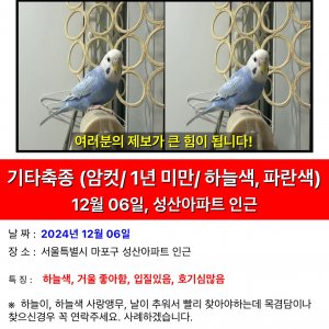 잃어버린 동물을 찾습니다 조류 서울특별시 마포구