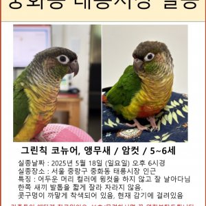 실종동물 조류 서울특별시 중랑구