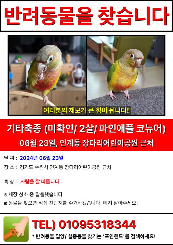 강아지,고양이,앵무새 등 실종동물을 찾습니다 보호,목격신고 : 동물보호센터