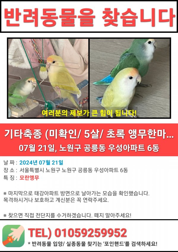 강아지,고양이,앵무새 등 실종동물을 찾습니다 보호,목격신고 : 동물보호센터