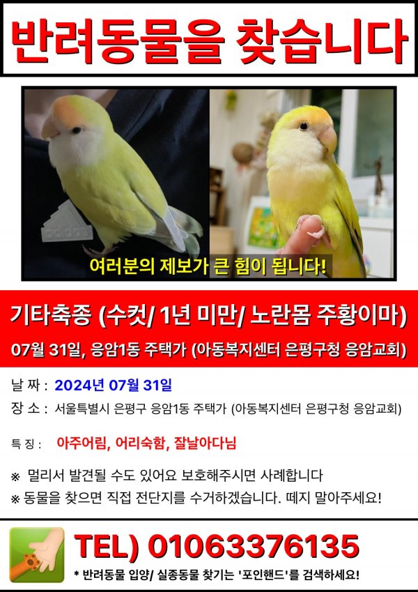 강아지,고양이,앵무새 등 실종동물을 찾습니다 보호,목격신고 : 동물보호센터