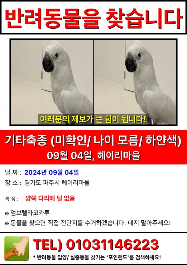 강아지,고양이,앵무새 등 실종동물을 찾습니다 보호,목격신고 : 동물보호센터