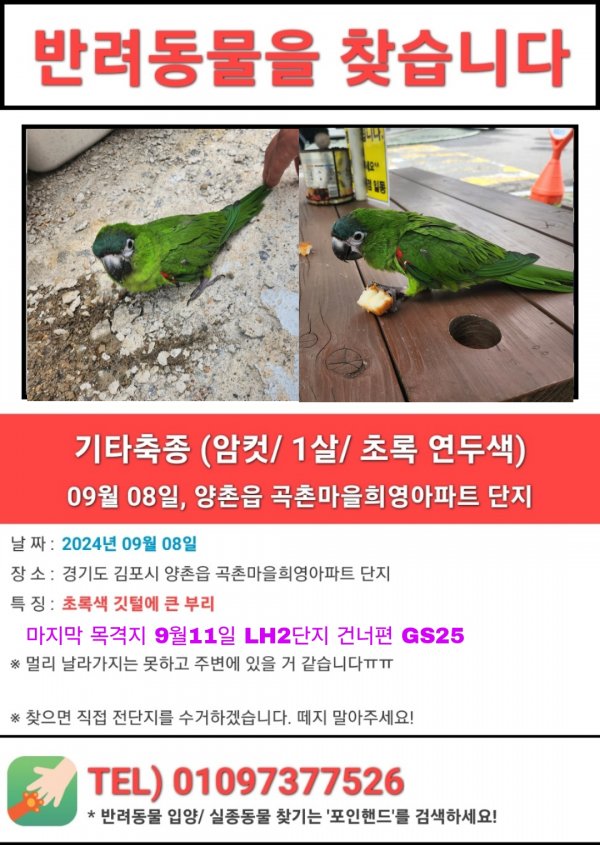 강아지,고양이,앵무새 등 실종동물을 찾습니다 보호,목격신고 : 동물보호센터