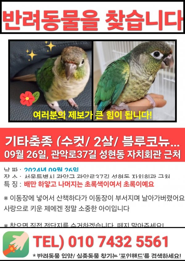 강아지,고양이,앵무새 등 실종동물을 찾습니다 보호,목격신고 : 동물보호센터