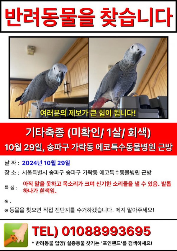 강아지,고양이,앵무새 등 실종동물을 찾습니다 보호,목격신고 : 동물보호센터